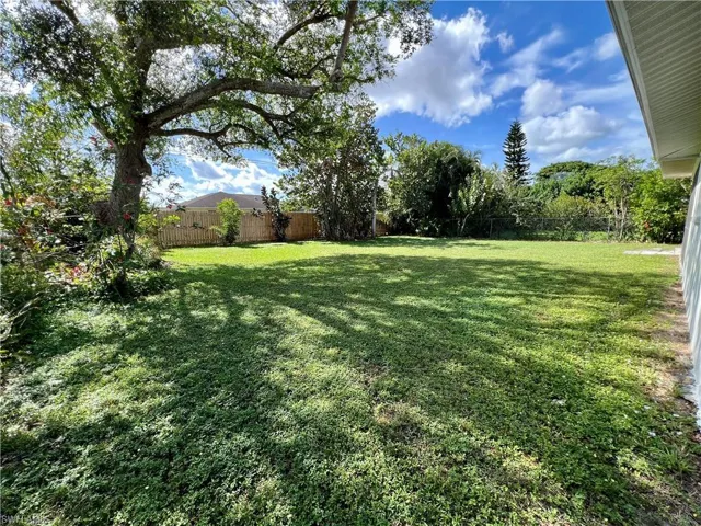 Alternate view of yard