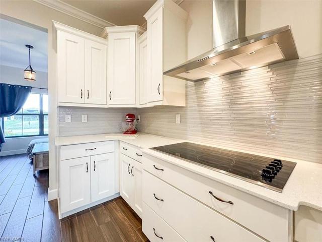 New Cooktop and Vent Hood