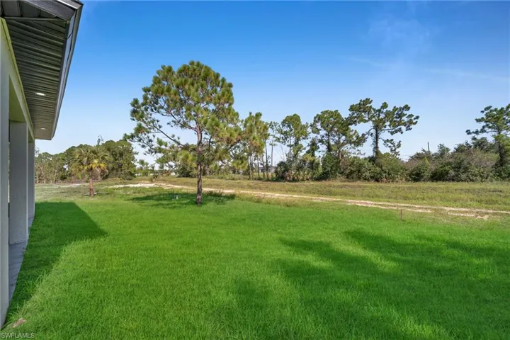 View of green lawn