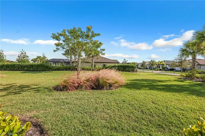 View of spacious backyard.
