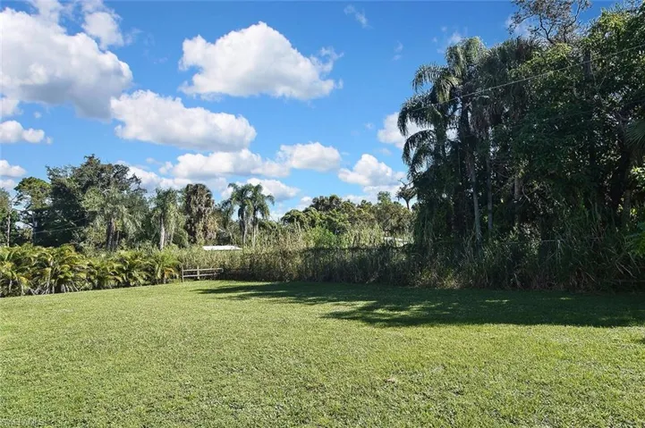 Spacious backyard has chain-link fencing on three sides, and a large shade tree.