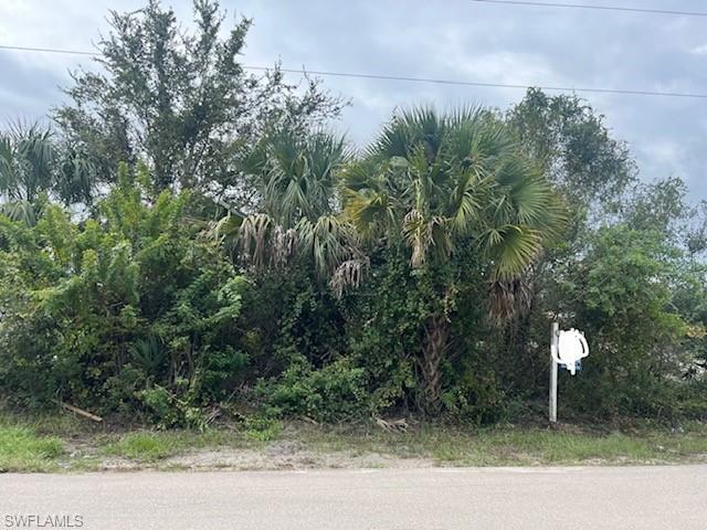 3219 53rd ST W, LEHIGH ACRES FL 33971