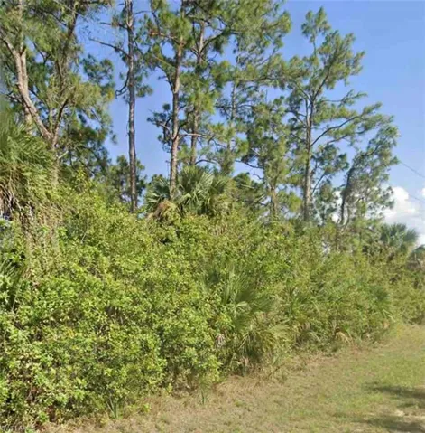 125 Thornton Ave S, Lehigh Acres, Florida 33974
