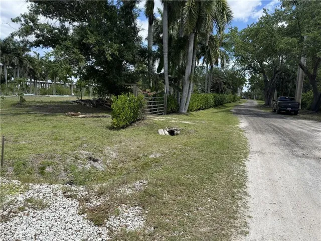View from SW corner of property line