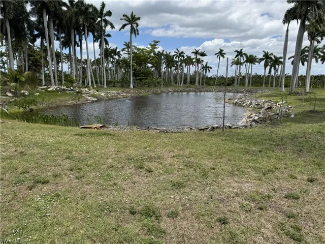 View of main pond from homesite