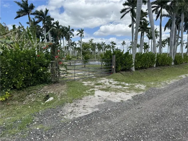Entrance Gate at NE property line