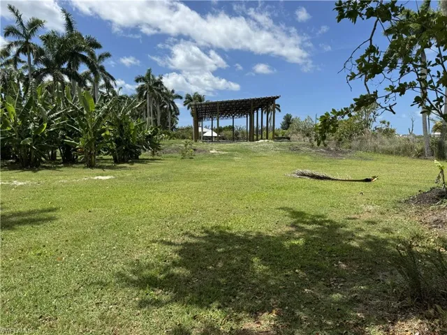 Out Building in background