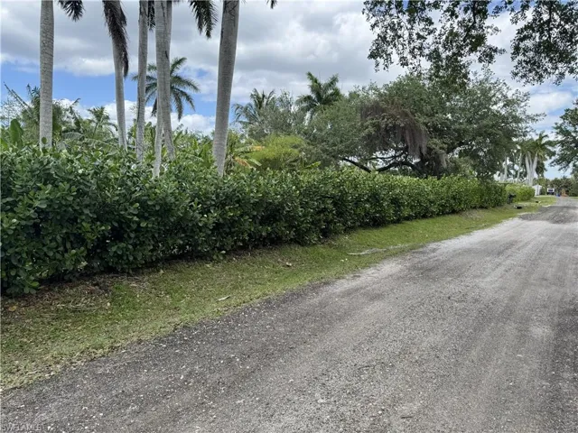 Frontage on Ficus Tree Ln.