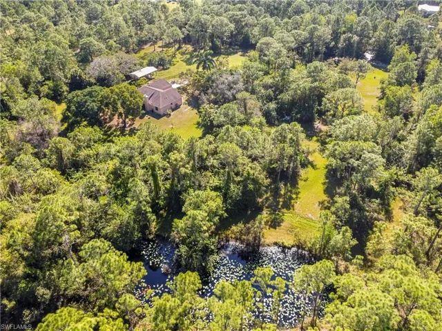 Bird's eye view of a forest and a large body of water