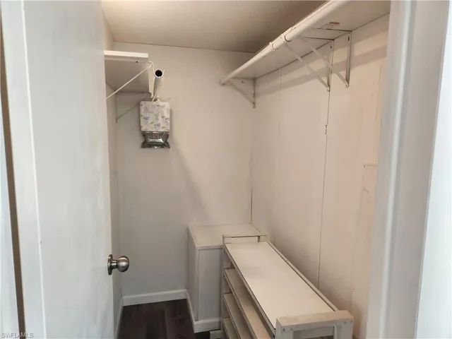 Spacious closet featuring dark hardwood / wood-style flooring