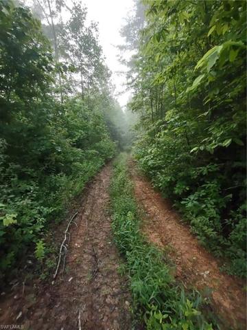 Continued driveway to home site