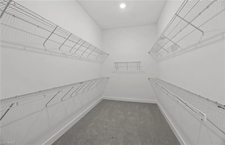 Spacious closet with carpet