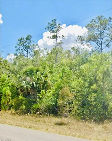 344 Urbana ST, LEHIGH ACRES FL 33972
