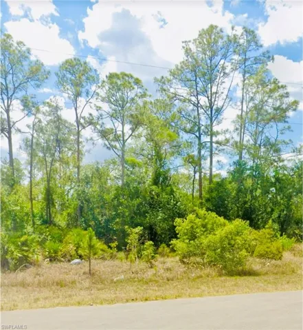 344 Urbana ST, LEHIGH ACRES FL 33972