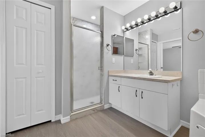 Master bath shower and vanity