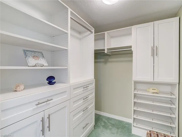 Walk in closet with light colored carpet