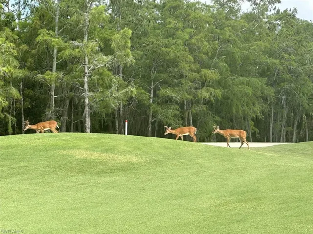 Cedar Hammock Club house