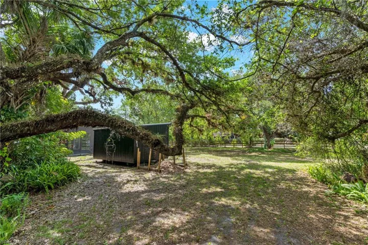 Side yard towards the shed area.