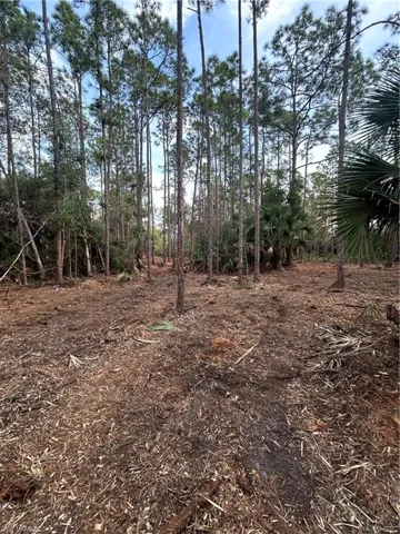 , Naples, FL 34120