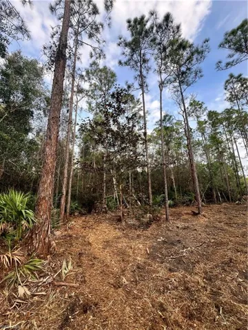 , Naples, FL 34120