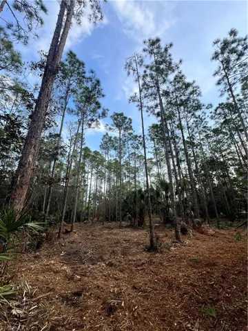 , Naples, FL 34120