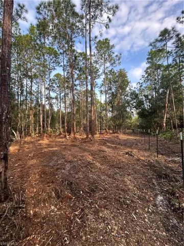 , Naples, FL 34120