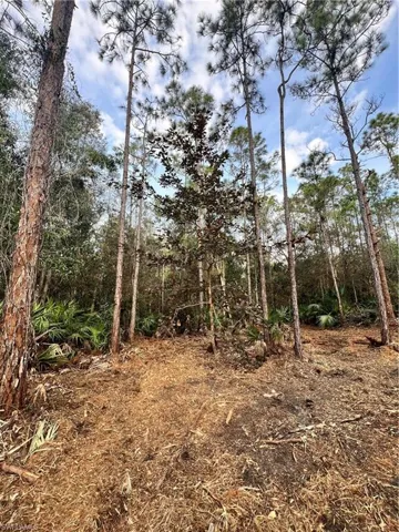 , Naples, FL 34120