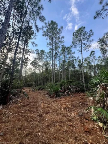 , Naples, FL 34120