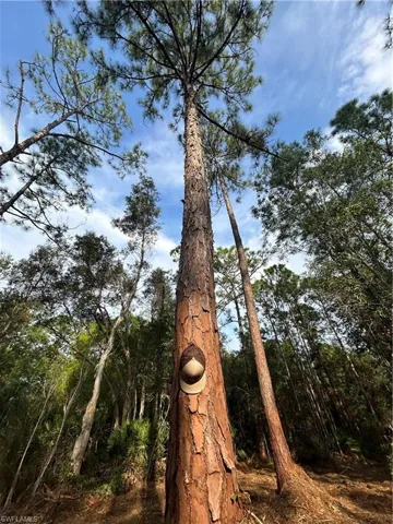 , Naples, FL 34120