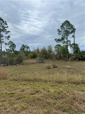 767 Bianca, LEHIGH ACRES FL 33974