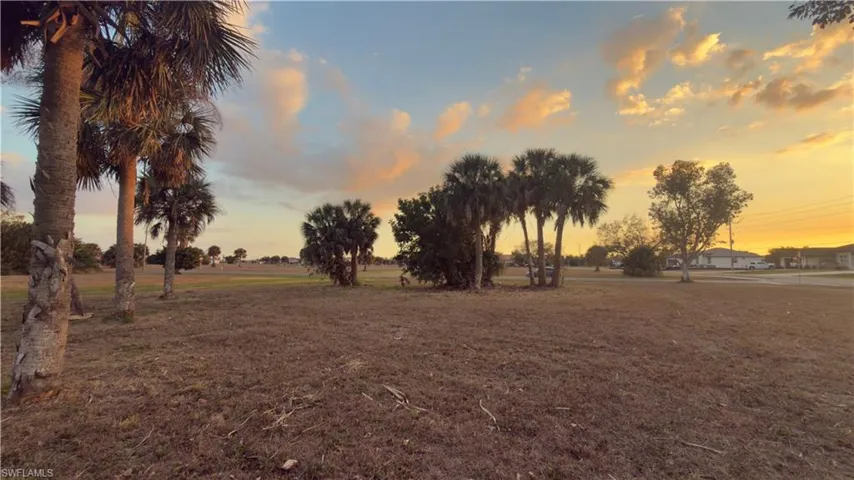 View of grassy yard