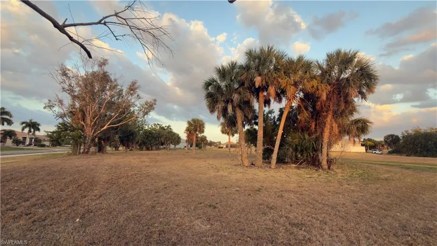 View of green lawn