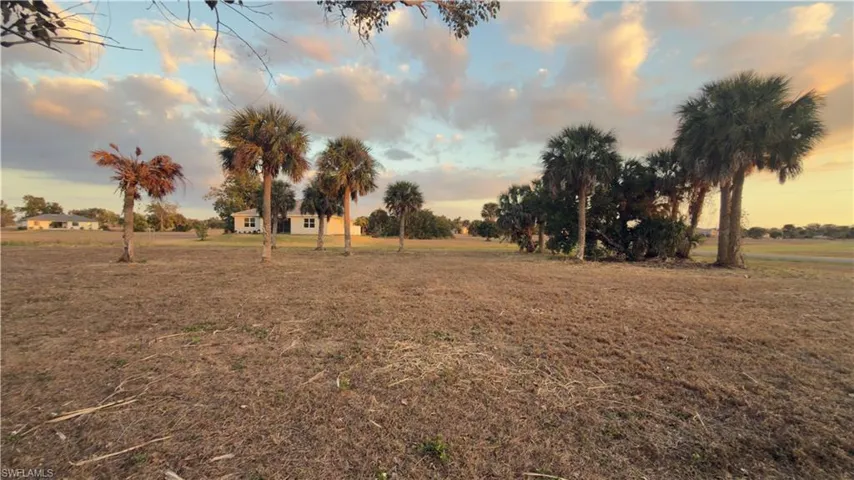 View of green lawn