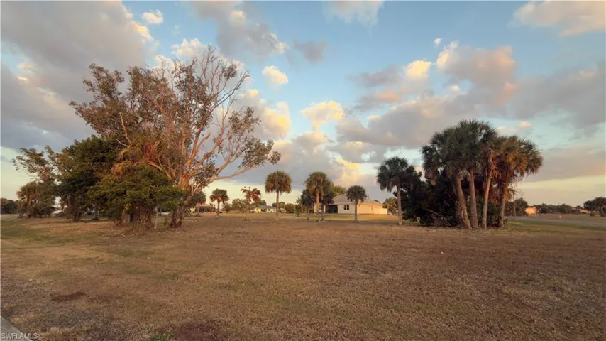 View of green lawn
