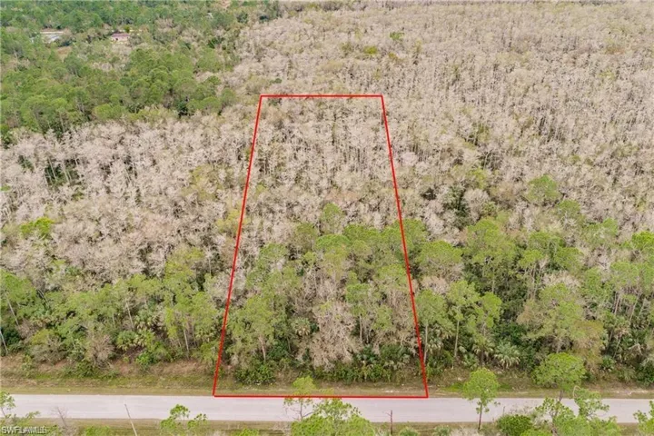 Expansive lot featuring mature trees and direct road frontage