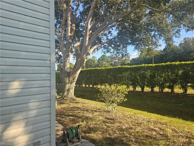 View of grassy yard
