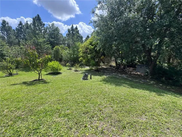 View of Large Back Yard