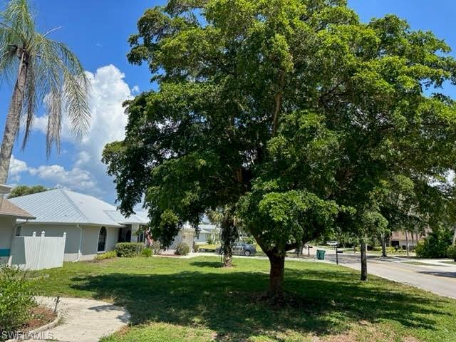 goota love the tree