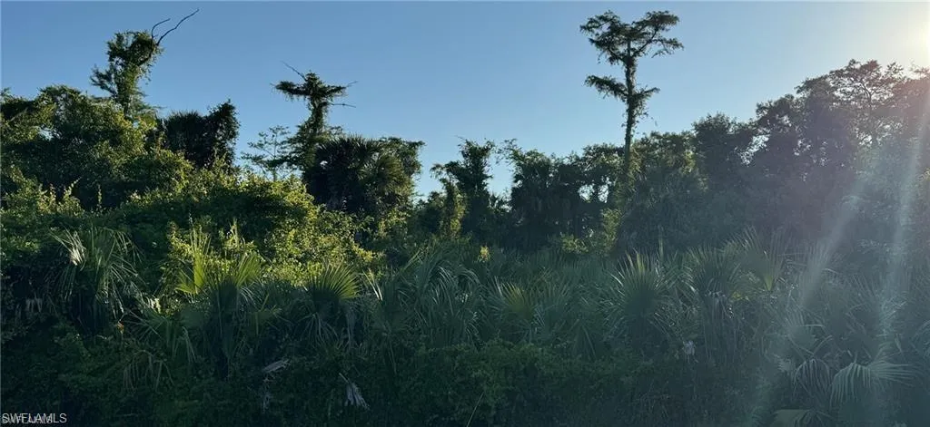 View of nature