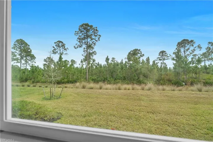 View from Primary bedroom