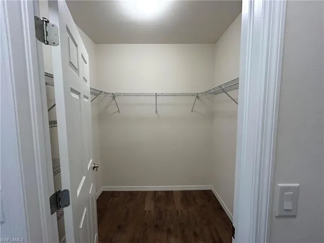 Spacious closet featuring dark wood-style floors
