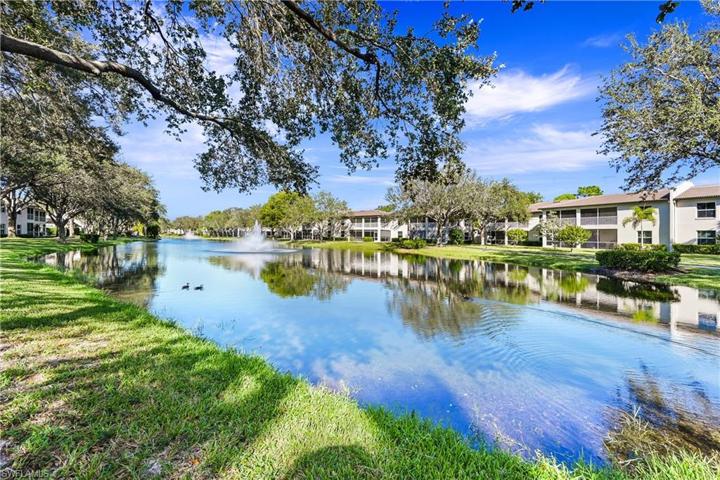 Your lake view!