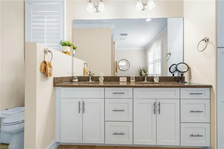 Bathroom featuring vanity, toilet, and ornamental molding