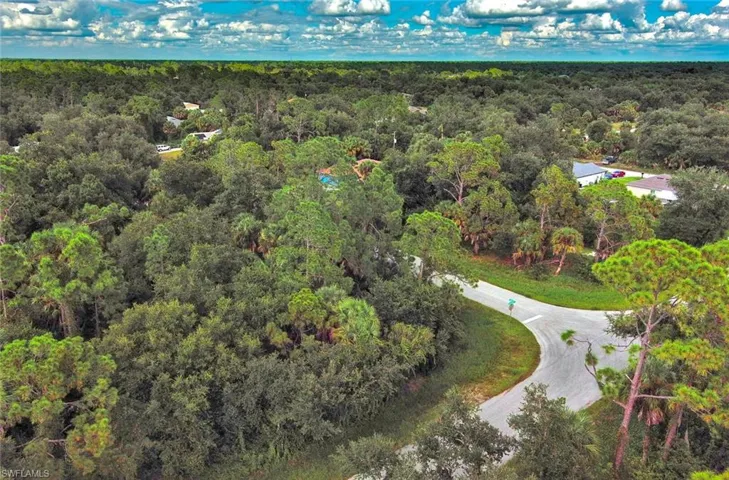 Bird's eye view of a heavily wooded area