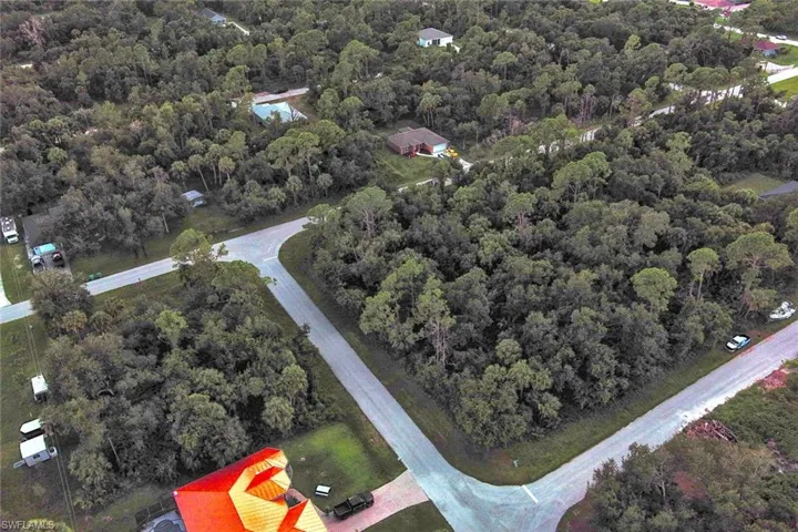 Bird's eye view of a forest