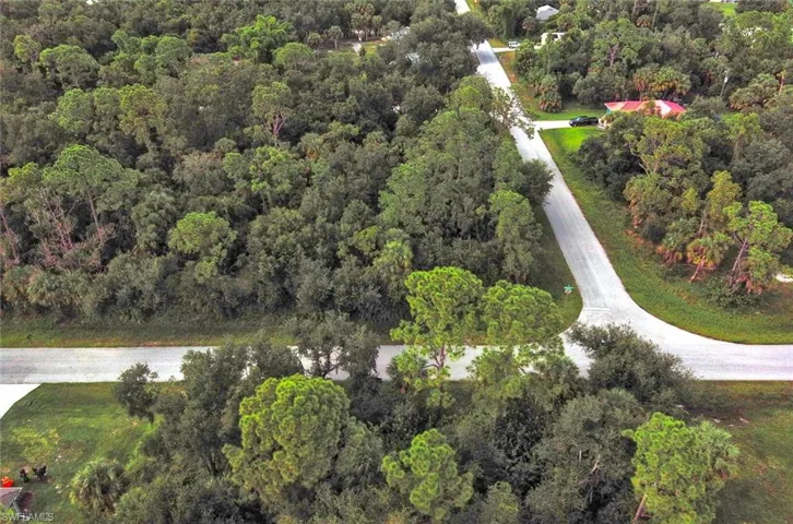 View of property location with a forest
