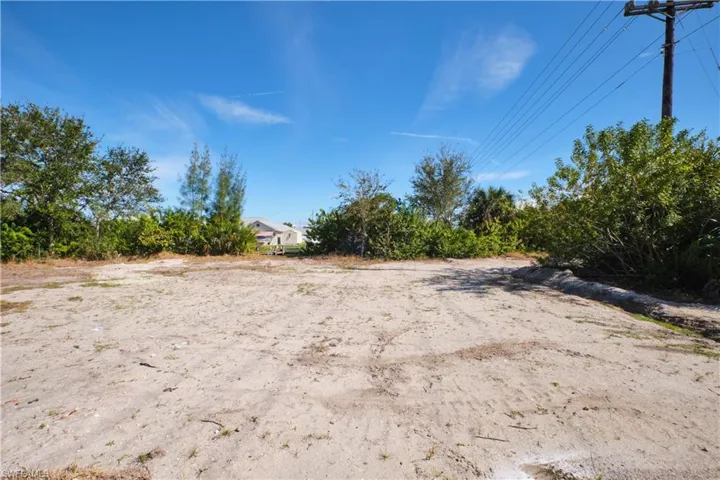 Expansive, undeveloped lot with natural vegetation