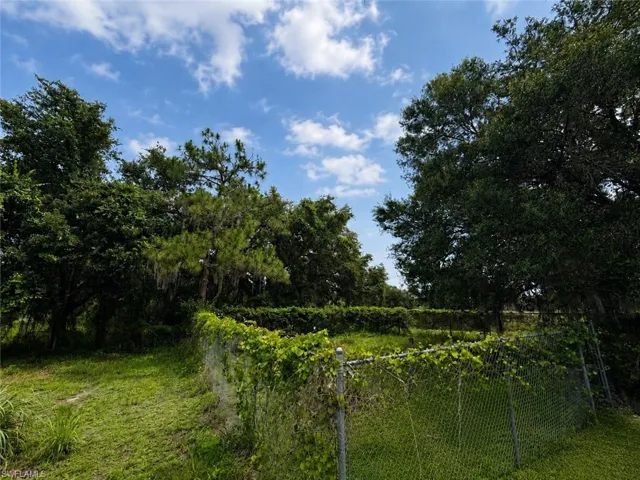 Enclosed Fenced Area/"Dog Run"