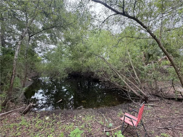 Pond stocked with fish