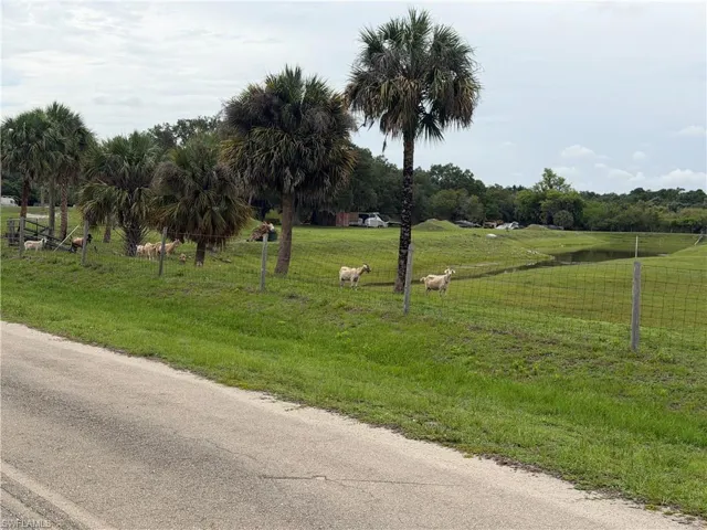 Serene Farm-Like Surroundings